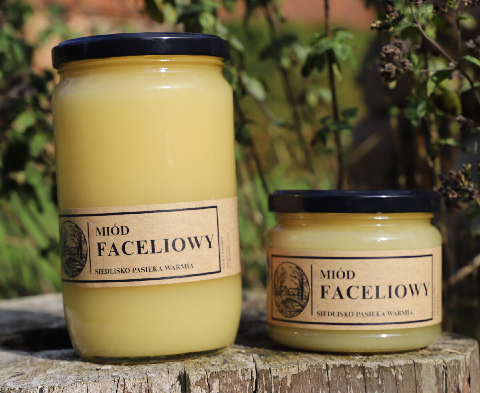 Miód Faceliowy 980 g - obrazek 2