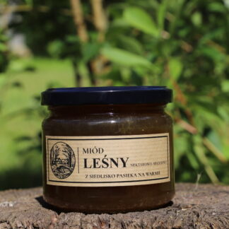 Miód Leśny 400g