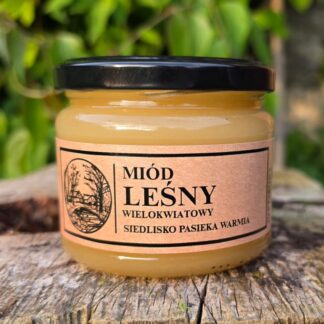 Miód Leśny 2026/ 400g